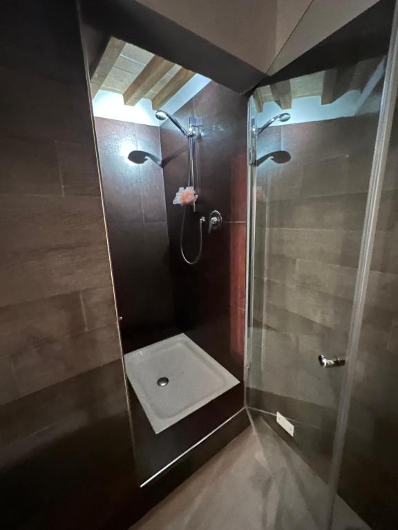 a bathroom with a shower with a sink at Palazzo Collesi in Città di Castello