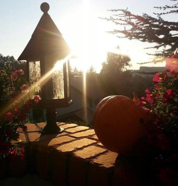 a bird house with the sun shining behind it at Hotel Restaurant - Häuserl im Wald Graz in Graz