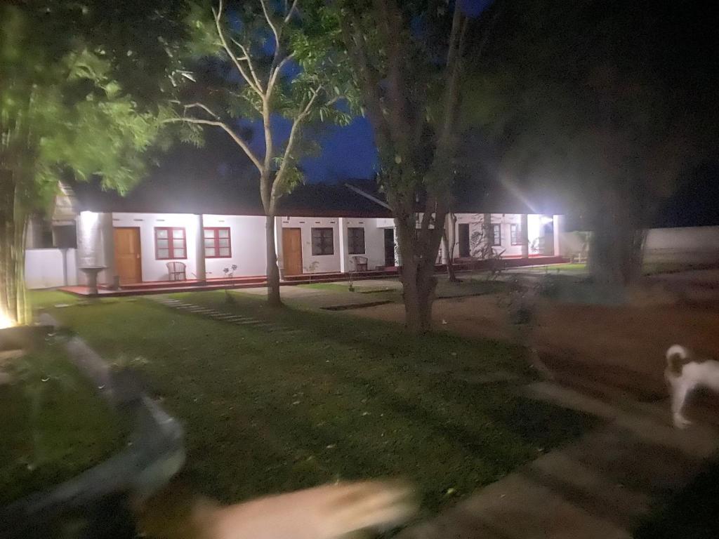 Domácí mazlíčci ubytovaní s hosty v ubytování HIKKADUWA REST