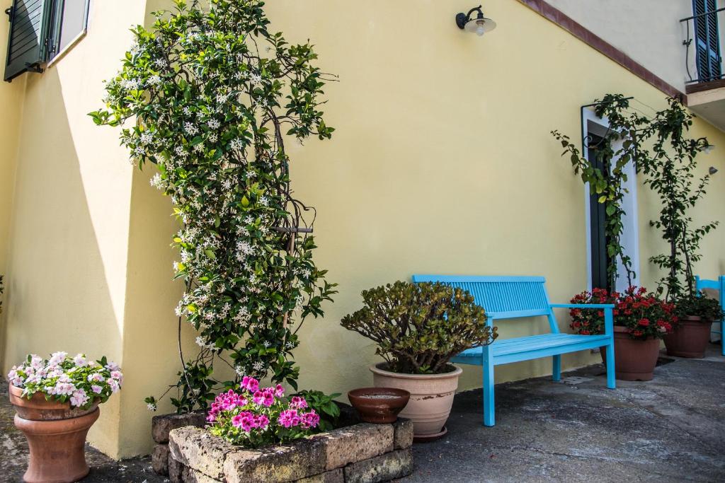 una panchina blu seduta accanto a un muro con piante in vaso di Sorecanu a Pula