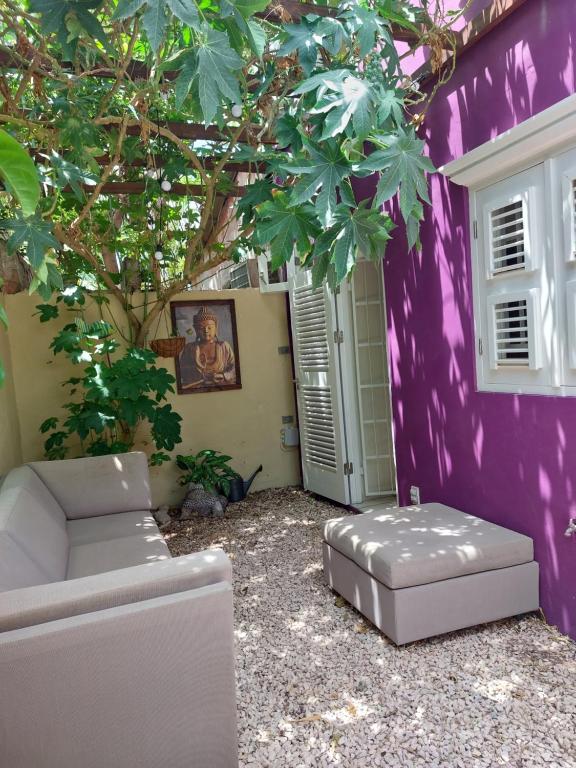 a purple house with a couch and a tree at Purple house in colorful city centre in Willemstad