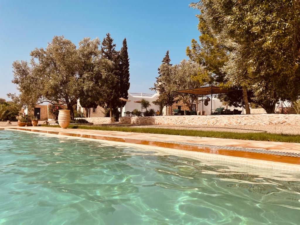 索維拉的住宿－Villa Des Arganiers，一座位于庭院的游泳池,庭院里种着树木,房子里