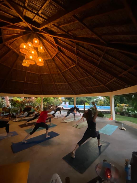 Hosté ubytování Hotel Santo Vanuatu