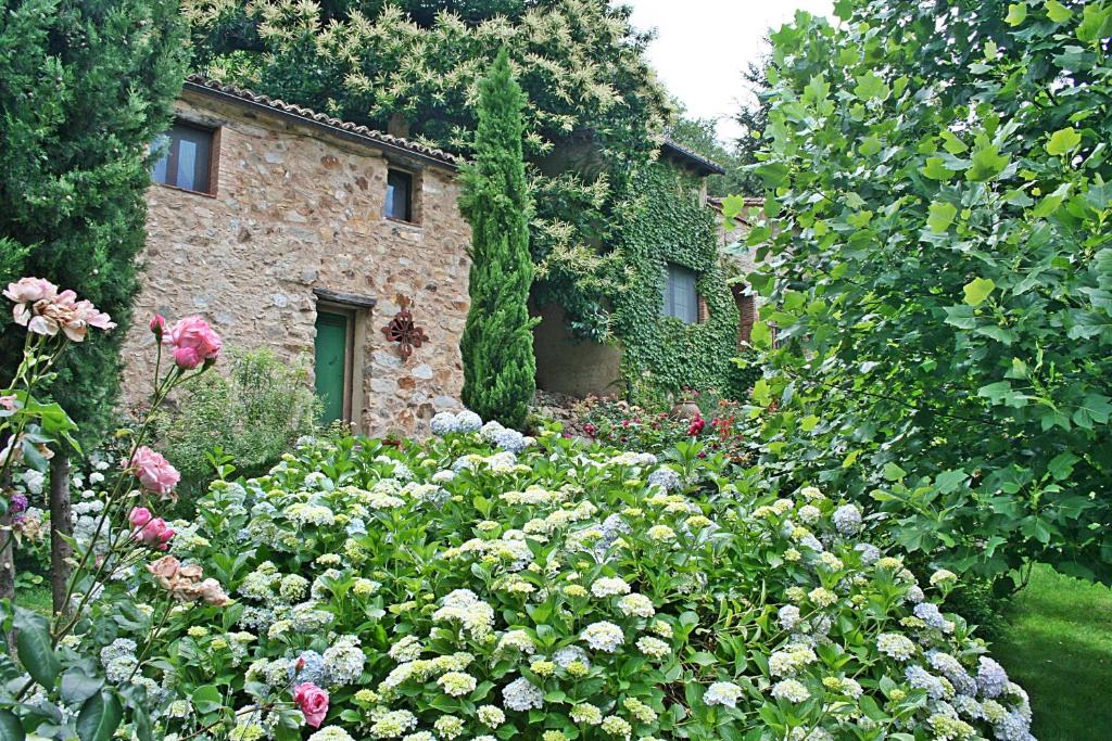 A garden outside Finca El Carpintero