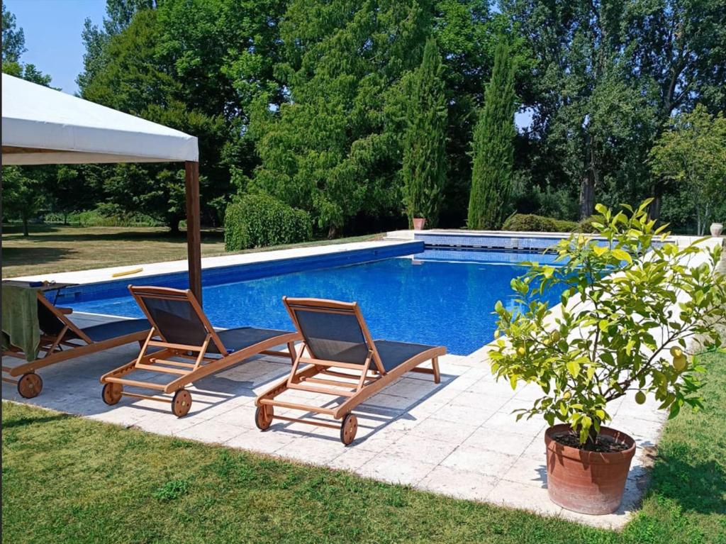 two chairs and an umbrella next to a swimming pool at Beautiful riverside boathouse in Bourg-Charente