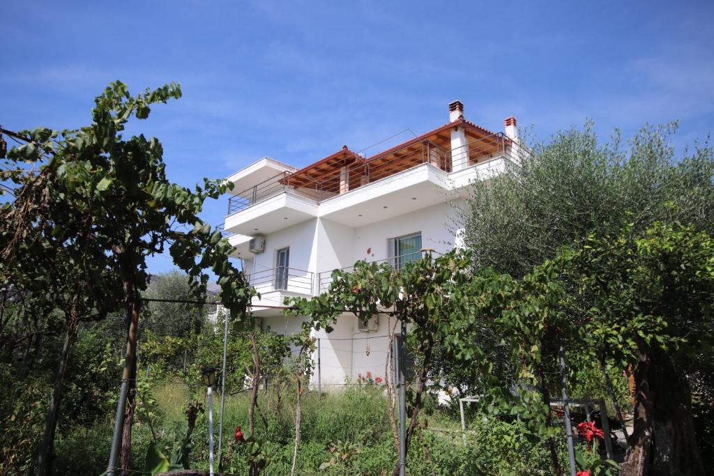 Mato Rooms - Image 6