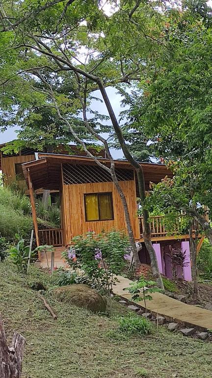 Zahrada ubytování Finca Colibri Ecolodges en Pleine Nature ferry Playa Najanjo Costa Rica