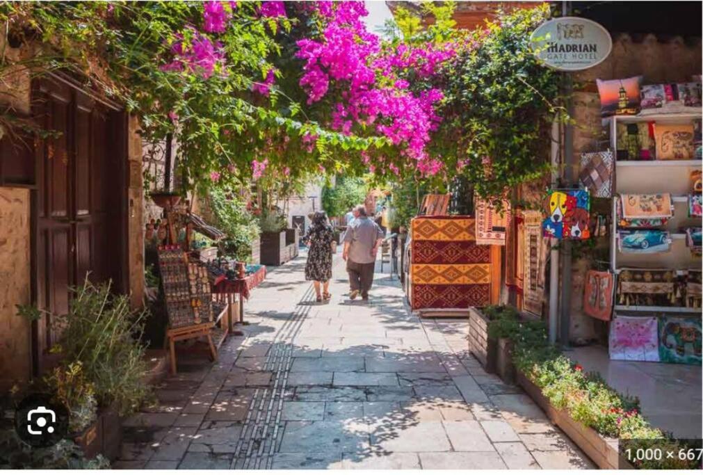 un homme et une femme marchant dans une rue avec des fleurs dans l'établissement City centre- Best location Apartment, à Antalya