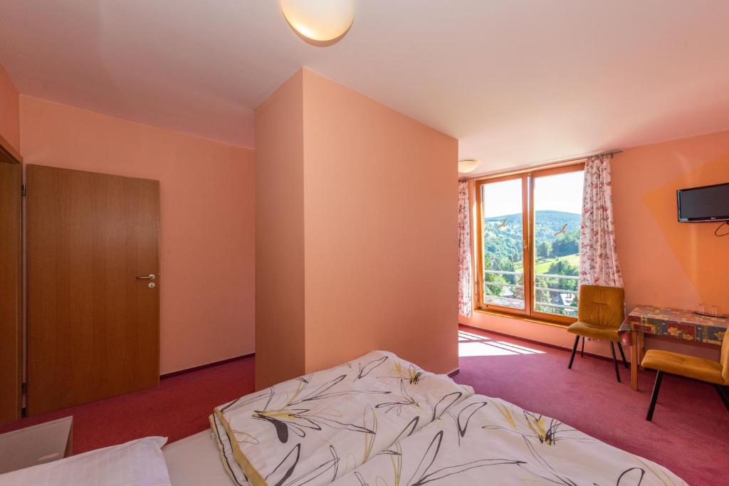 TV a/nebo společenská místnost v ubytování Hotel Modřín