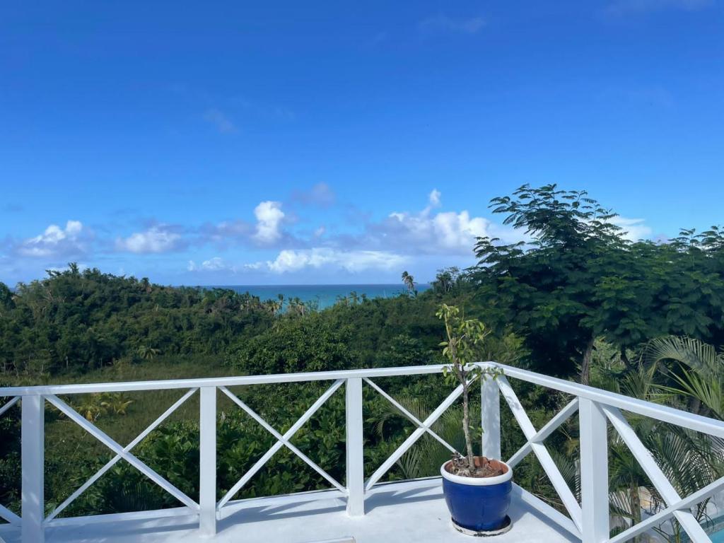 a potted plant sitting on a balcony with the ocean in the background at ITAKA LOMA BONITA in Las Terrenas