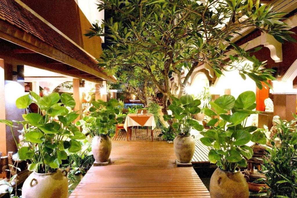 THE TOP PATONG RESORT. - Resim 6