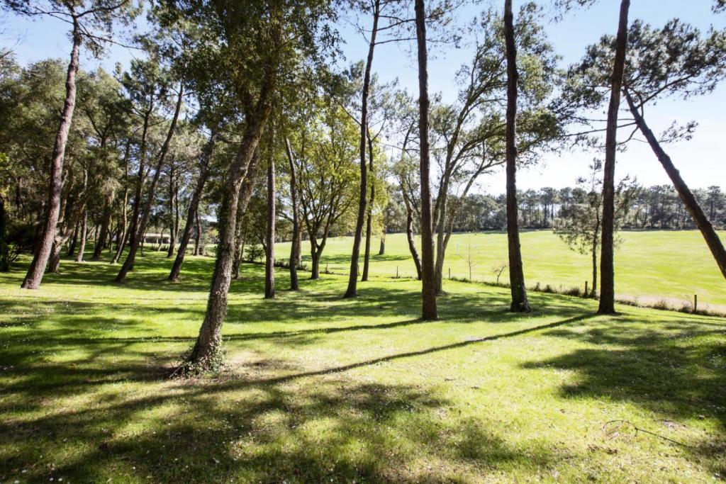 un groupe d'arbres dans un champ avec de l'herbe dans l'établissement Village Moliets - maeva Home - Maison 3 pièces 6 personnes Sélection MAE-0065, à Moliets-et-Maa