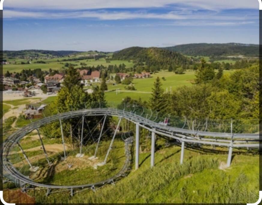 una montaña rusa vacía en un campo de hierba en Spacieux et lumineux 115m2 idéalement situé, en Les Hôpitaux-Neufs