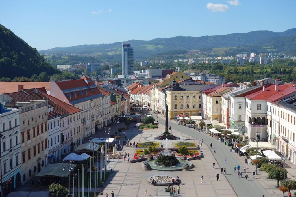 a city street with buildings and a fountain in the middle at Apartmán Pistácia priame centrum BB in Banská Bystrica