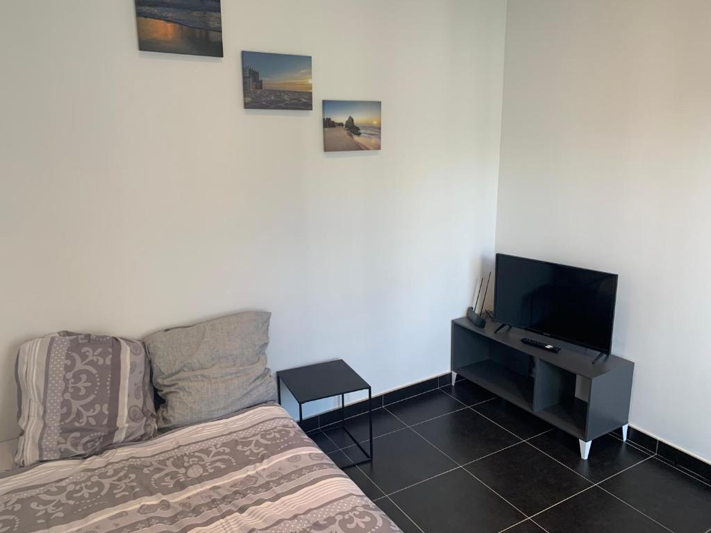 un salon avec un canapé et une télévision à écran plat dans l'établissement Belle maisonnette au cœur de Nancy centre, à Nancy