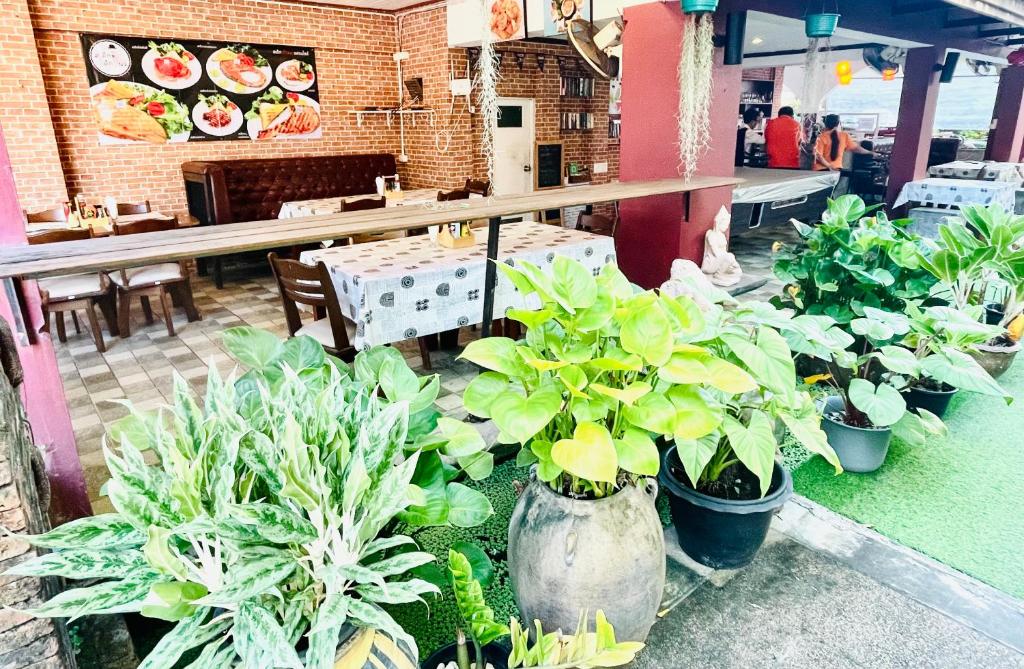 THE TOP PATONG RESORT. - Resim 13