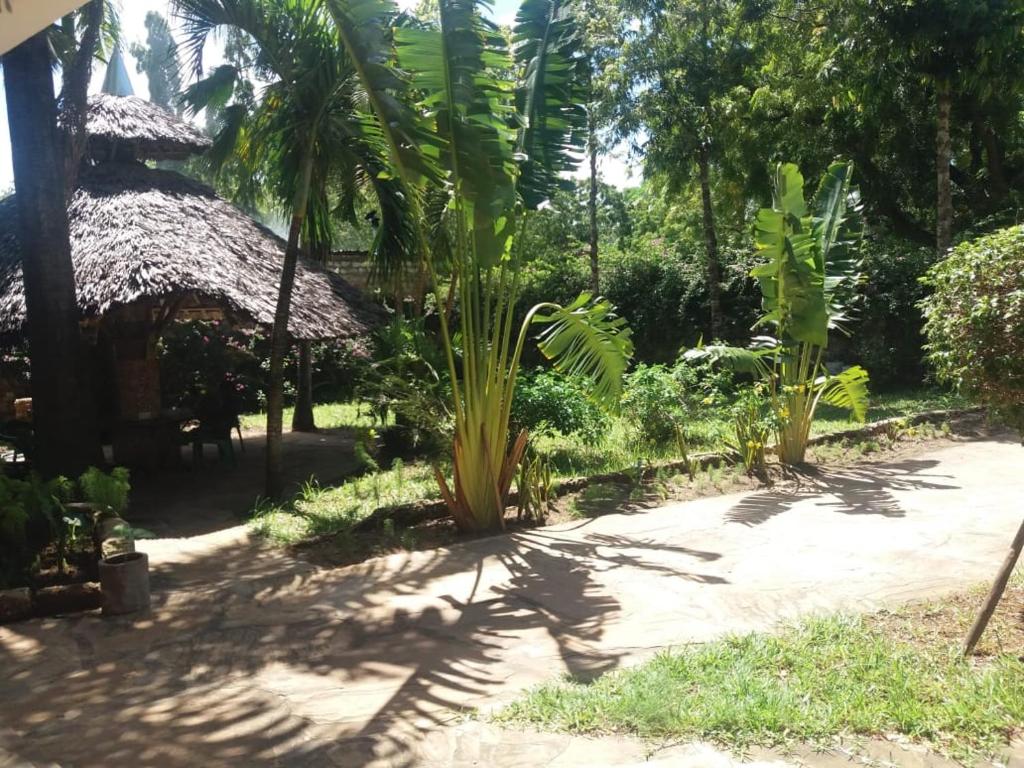 una palmera en medio de un jardín en serene home in DIani en Kwale