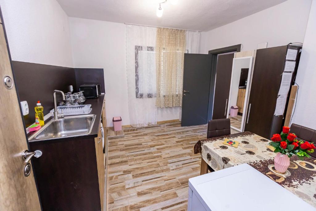 Kuchyň nebo kuchyňský kout v ubytování APARTEMENT VIVA