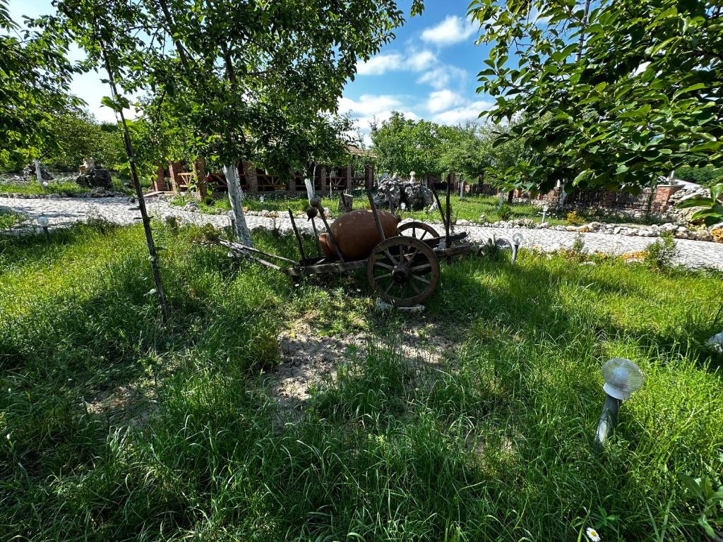 クタイシにあるOld Marani hotel, Tskaltuboの木の近くの芝生に腰掛けた古い荷車