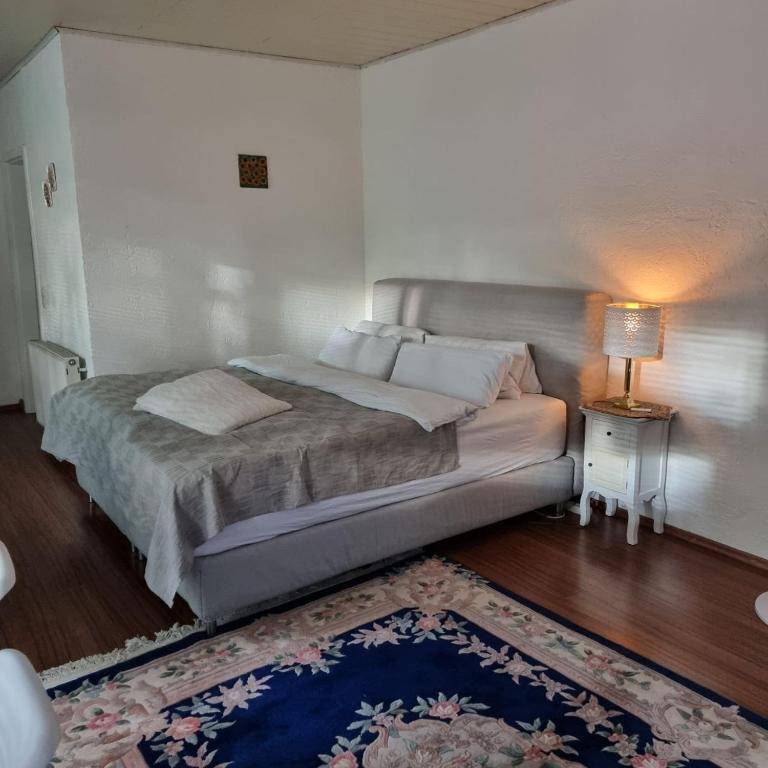 a bedroom with a bed and a rug and a lamp at Helles Appartment in Bremen