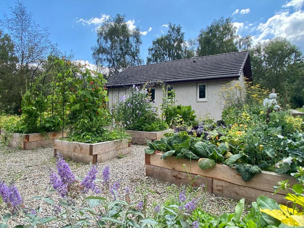 een tuin met drie verhoogde bedden van groenten bij Homestead Cottage, Fort Augustus in Fort Augustus