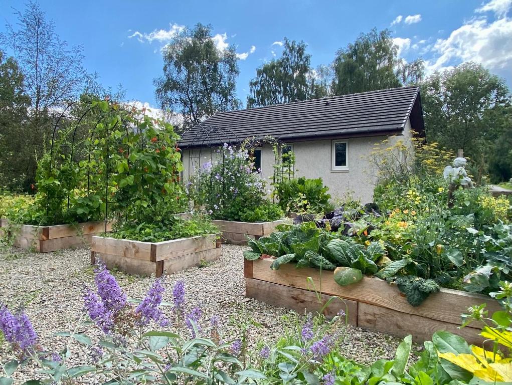 a garden with three raised beds of vegetables at Homestead Cottage, Fort Augustus in Fort Augustus