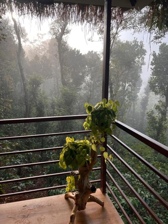 Balkón nebo terasa v ubytování Coffee Cradle Wayanad Luxuorios Private Tree House - Inside 2 Acre Coffee Plantation