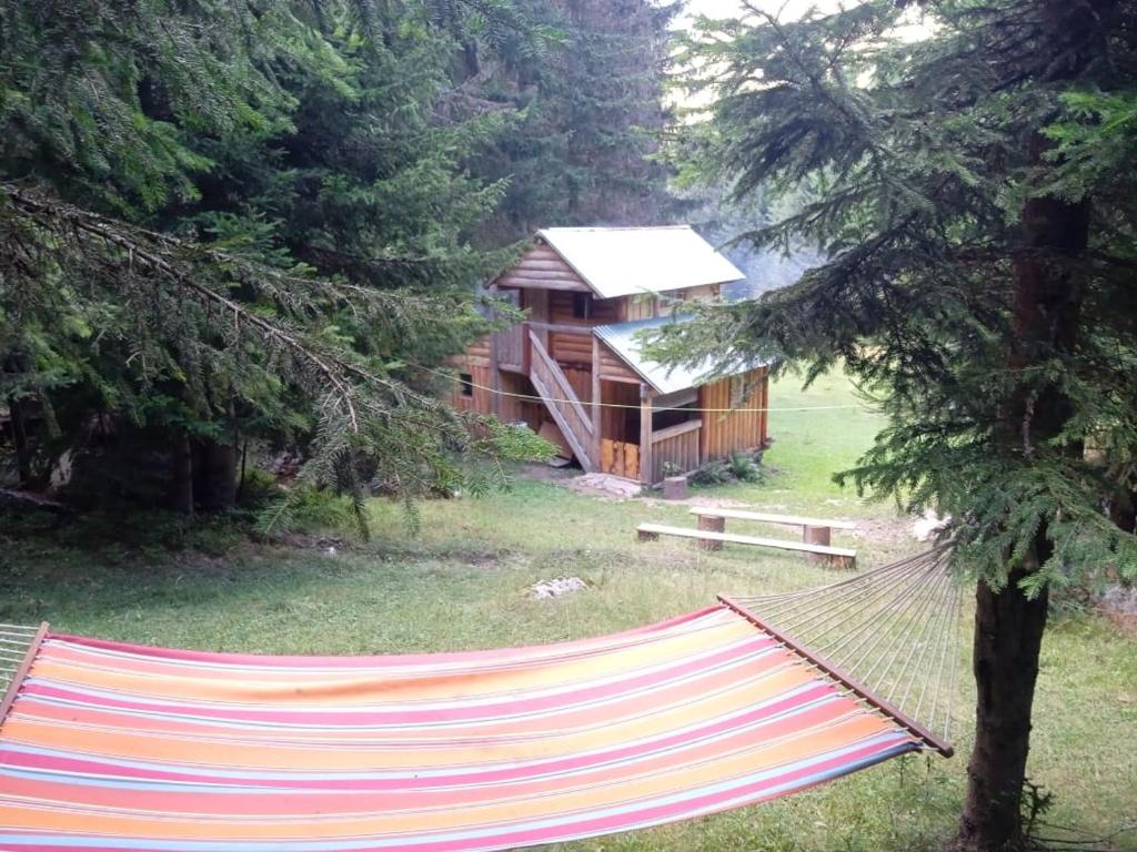 Zahrada ubytování Isov Ranch