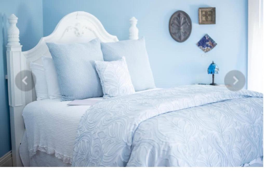 Savannah Suite, Gainesville Aktualisierte Preise für 2024