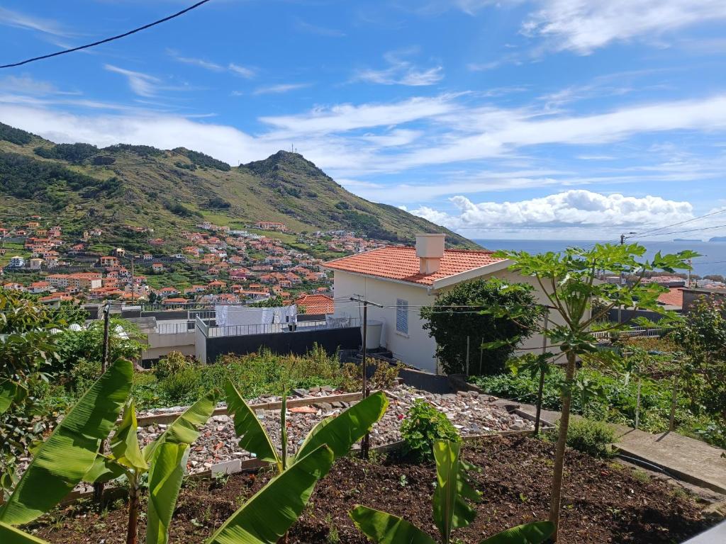 uma vista para uma casa com uma montanha ao fundo em Gouveia Family Escape em Machico