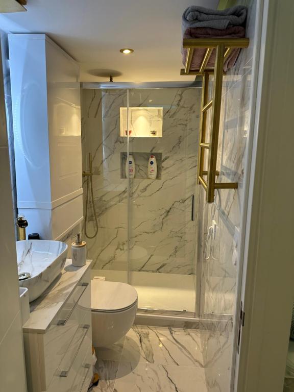 a bathroom with a shower and a toilet and a sink at Sweet home in Bagnolet