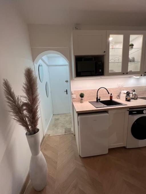 une cuisine avec un vase et une plante. dans l'établissement La perle du parc - Studio, à Rocquencourt