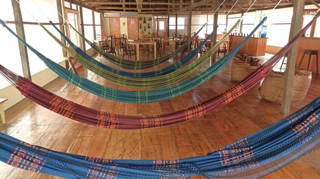 Fotografie z fotogalerie ubytování Avatar Amazon Lodge & Canopy Park v destinaci Santa Teresa