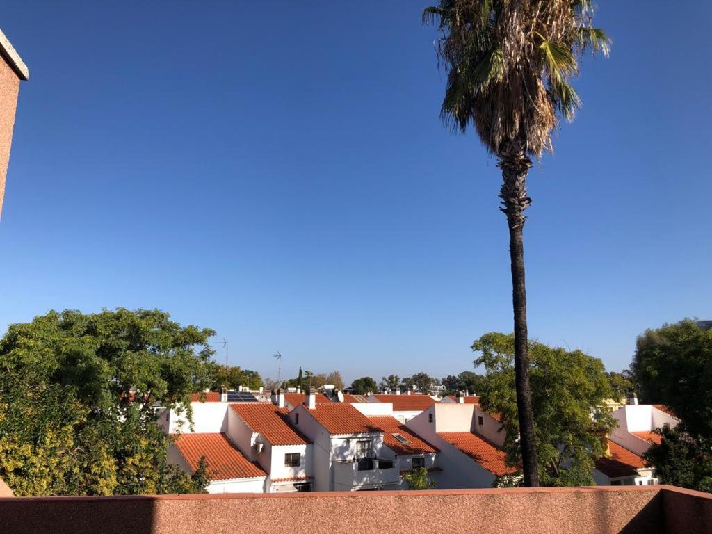 Blick auf eine Stadt mit einer Palme in der Unterkunft Familia Anfitriona acoge terraza in Sevilla