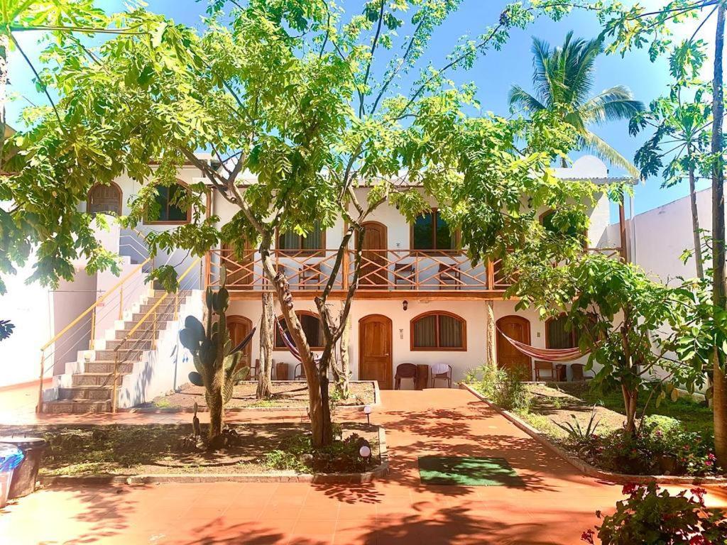 dom z drzewami przed nim w obiekcie Hostal White House Galapagos w mieście Puerto Ayora