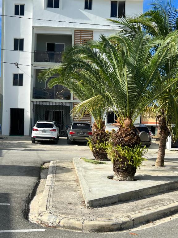 a palm tree on the side of a street at City Suite Apartment Cabrera in Cabrera