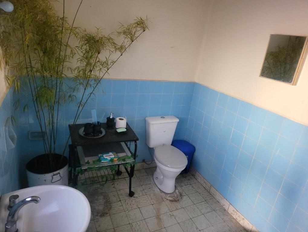 a blue bathroom with a toilet and a sink at Edén in Tarija