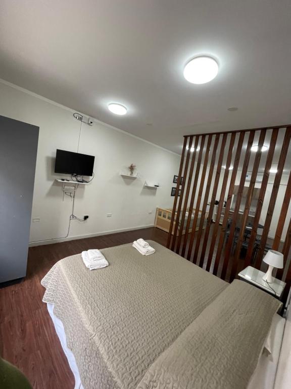 1 dormitorio con 1 cama y TV en la pared en LA RUFINA en Salta