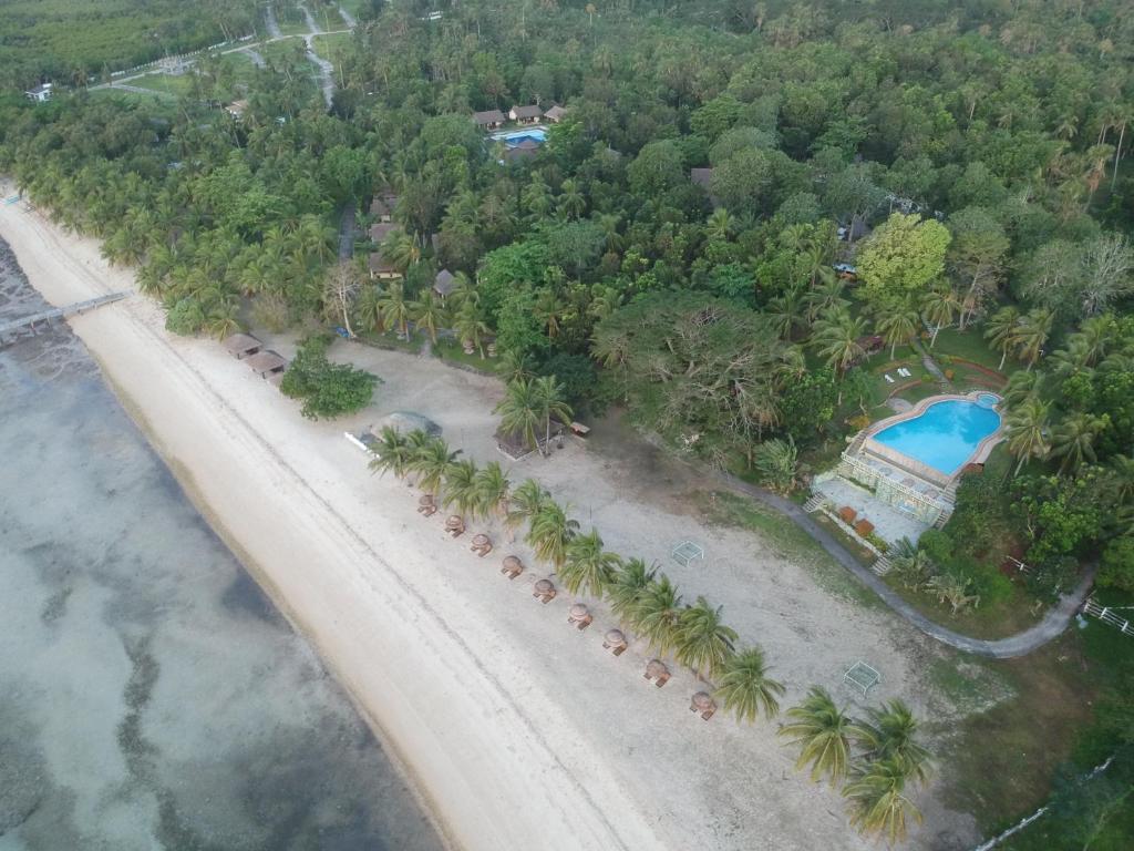 an aerial view of a beach with palm trees and a pool at CATANAUAN COVE White Sand Beach Resort in Catanauan