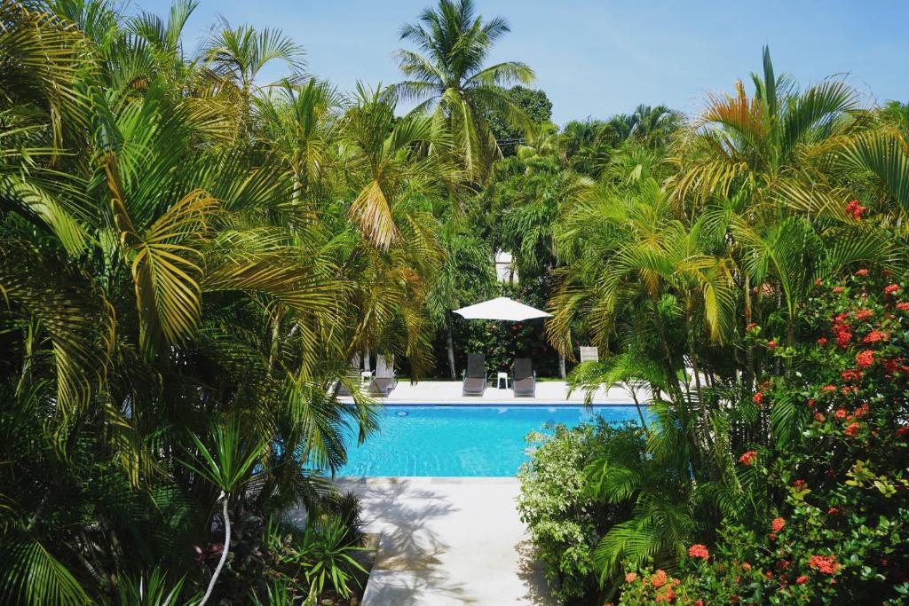 uma piscina rodeada por palmeiras e plantas em Hotel Villa Del Sol em Coco