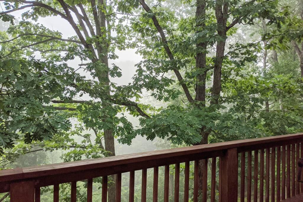 a wooden deck with trees in the background at Corner Lake Getaway in Bella Vista