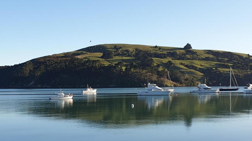 a group of boats docked in a body of water at Waterscape Apartment in Akaroa