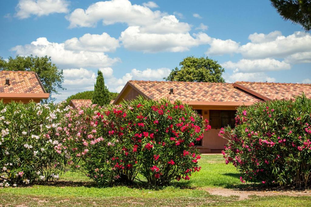 Gitavillage California