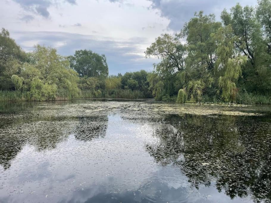 um rio com árvores e nuvens na água em Charming Cottage em Roskilde