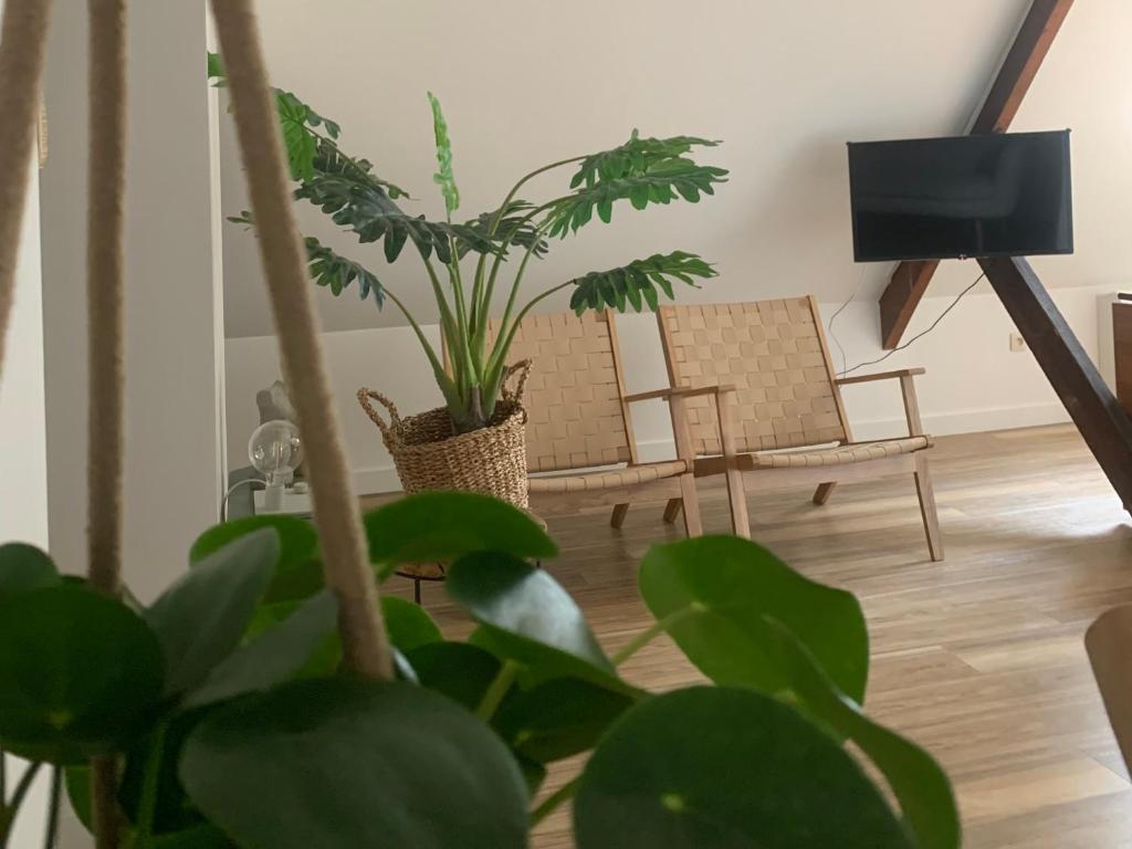 een woonkamer met een stoel en een potplant bij Zolder appartement Le Grenier in Dilsen-Stokkem