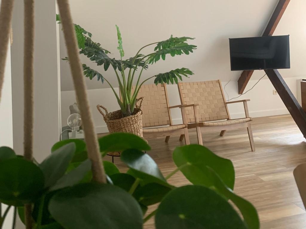TV a/nebo společenská místnost v ubytování Zolder appartement Le Grenier
