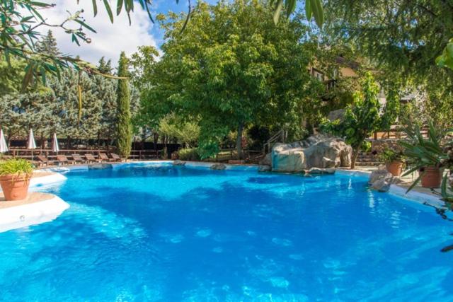 Gelsomino