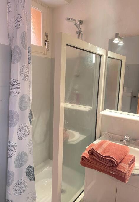 a bathroom with a shower and a sink at À deux pas de la plage in Collioure