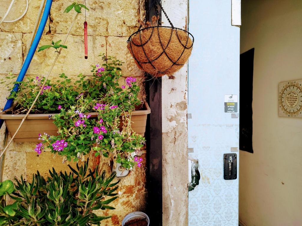 Fotografie z fotogalerie ubytování PoliHosts Old Jaffa v destinaci Tel Aviv