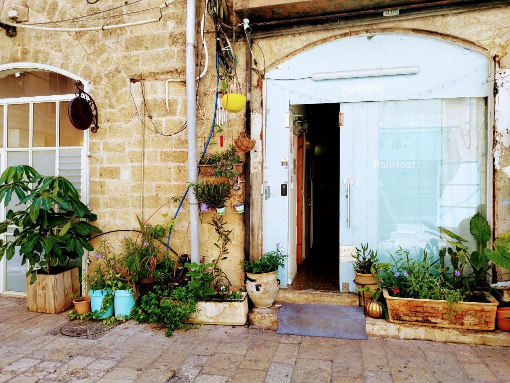 Zahrada ubytování PoliHosts Old Jaffa